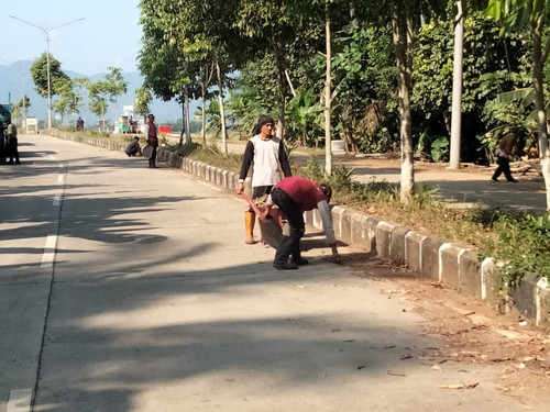 Tidu Bandara (rumput).jpg