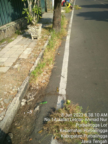 Letnan Achmad Nur (rumput).jpg