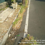 Letnan Achmad Nur (rumput)