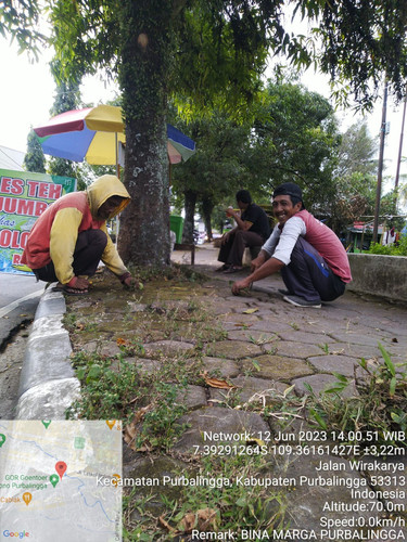 Wirakarya (rumput).jpg