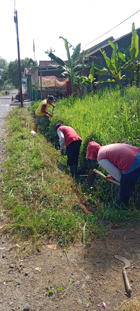 Tamansari Tajug (rumput).jpg