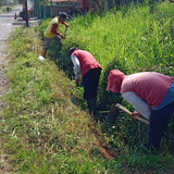 Tamansari Tajug (rumput)
