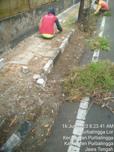 Serma Jumiran (rumput).jpg