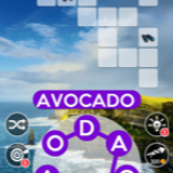IMG 0722.png