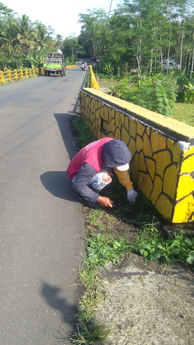 PPL Bedagas Rembang (rumput).jpg