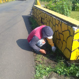PPL Bedagas Rembang (rumput)