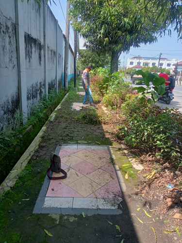 Mayjend DI Panjaitan (rumput).jpg