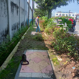 Mayjend DI Panjaitan (rumput)