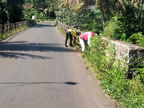 Pagerjirak Karanggedang (rumput).jpg
