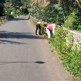 Pagerjirak Karanggedang (rumput)