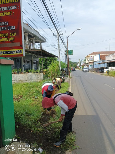 Cahyana Baru (Rumput).jpg