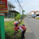 Cahyana Baru (Rumput)