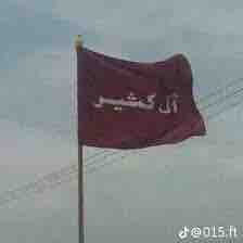 FD554894 DF57 48C7 9A6A 16F2A5522F78.jpg