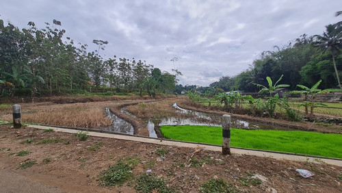 512, 2400m, 600rb.jpg