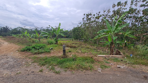 513, 3000m, 700rb permeter.jpg