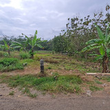 513, 3000m, 700rb permeter