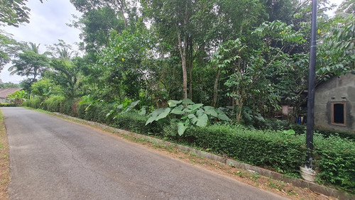 515, 3000m, 1juta permeter.jpg