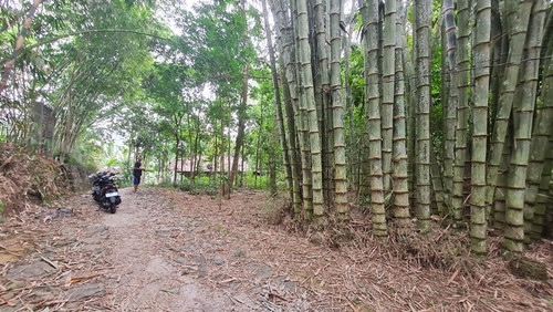 505, permeter 500rb.jpg