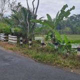 506, 600rb permeter, 4000 meter dan 3000meter ShHM