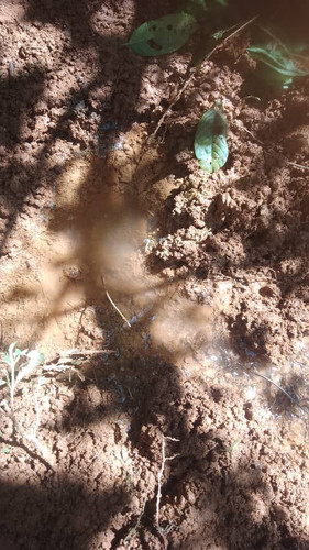 WhatsApp Image 2023 07 10 at 3.58.37 PM.jpg