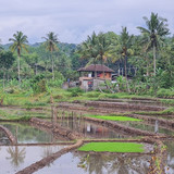 2000m, 400rb, samping tower 15