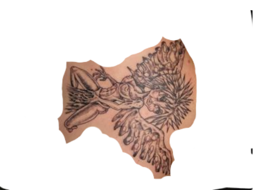 358427020 971004624352121 2276932754141822441 n fotor bg remover 20230706175613.png