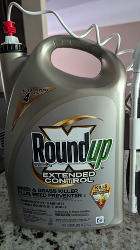 PXL 20230711 140320797