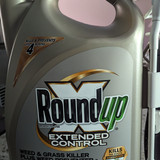 PXL 20230711 140320797