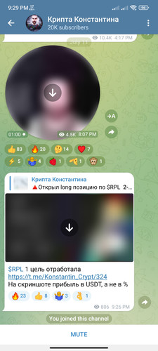 Screenshot 2023 07 11 21 29 54 834 org.telegram.messenger.jpg