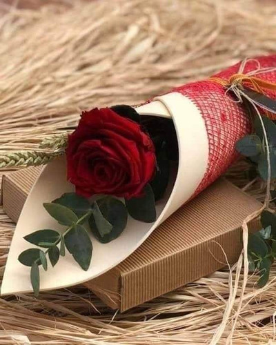 received 795167957897964.jpg
