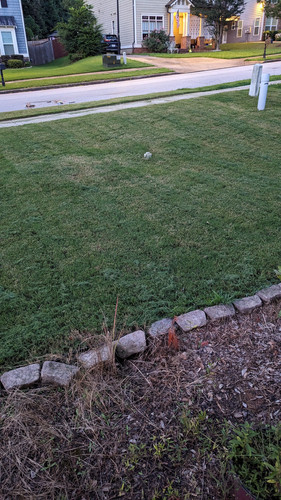 PXL 20230711 010907912.jpg