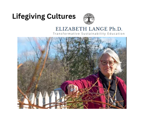 Nurturing Lifegiving Cultures for Health, Well being, and Resilience.png