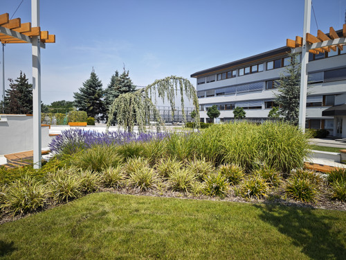 IMG 20230710 120848.jpg