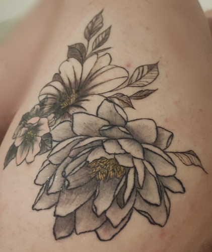 IMG 20230308 222118.jpg