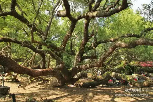 20191123 458.webp