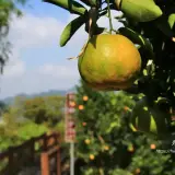 20191123 360