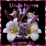 Feliz Jueves GIF con movimiento 72.gif