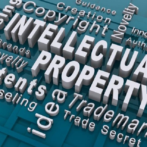 INTELLECTUAL PROPERTY RIGHTS.jpg