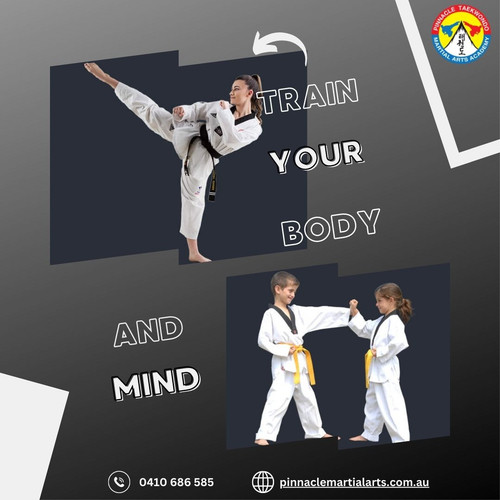 Pinnacle Martial Arts.jpg