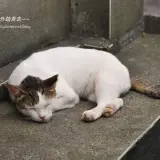 20170715 200