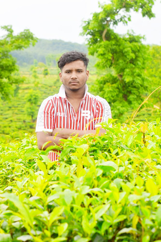 IMG 20230702 WA0291 01.jpg