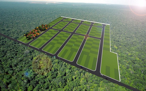 2022 6 21 1655853671.749032.jpg