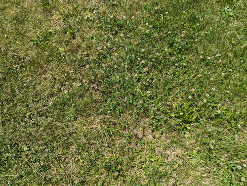 PXL 20230708 105424177.jpg
