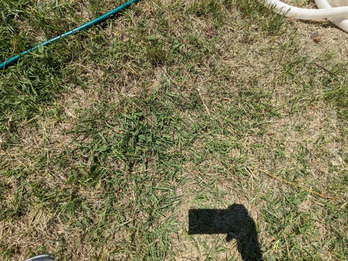 PXL 20230708 105614584.jpg