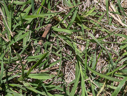 PXL 20230708 105610832.jpg