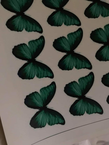 FB IMG 1688821859082