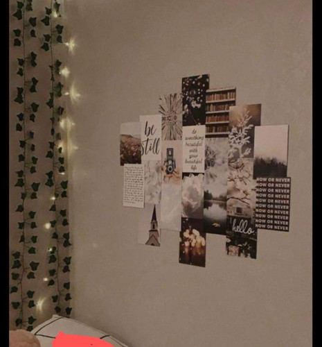 FB IMG 1688821846172~3.jpg