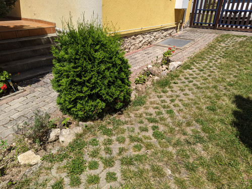 PXL 20230708 114958850.jpg