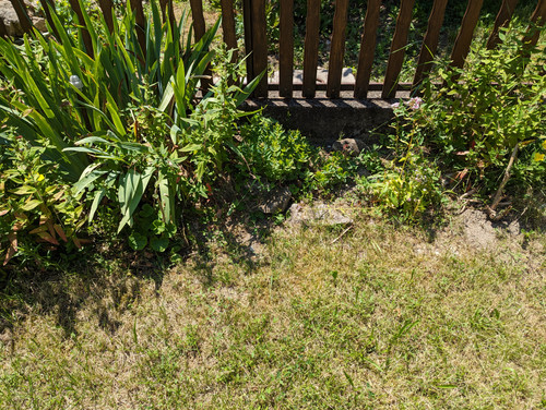 PXL 20230708 115119513.jpg