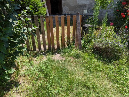 PXL 20230708 115046413.jpg